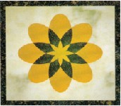 Floor finish option 7